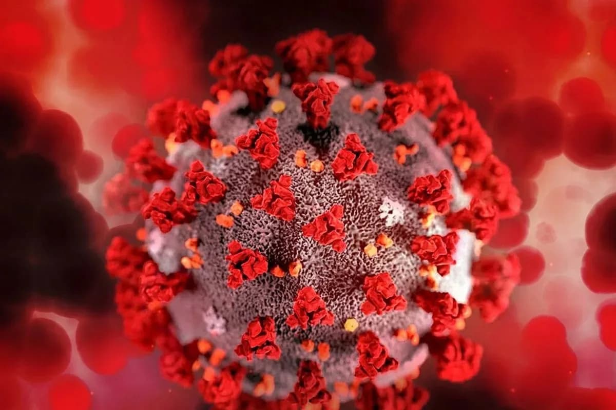 Korona virus